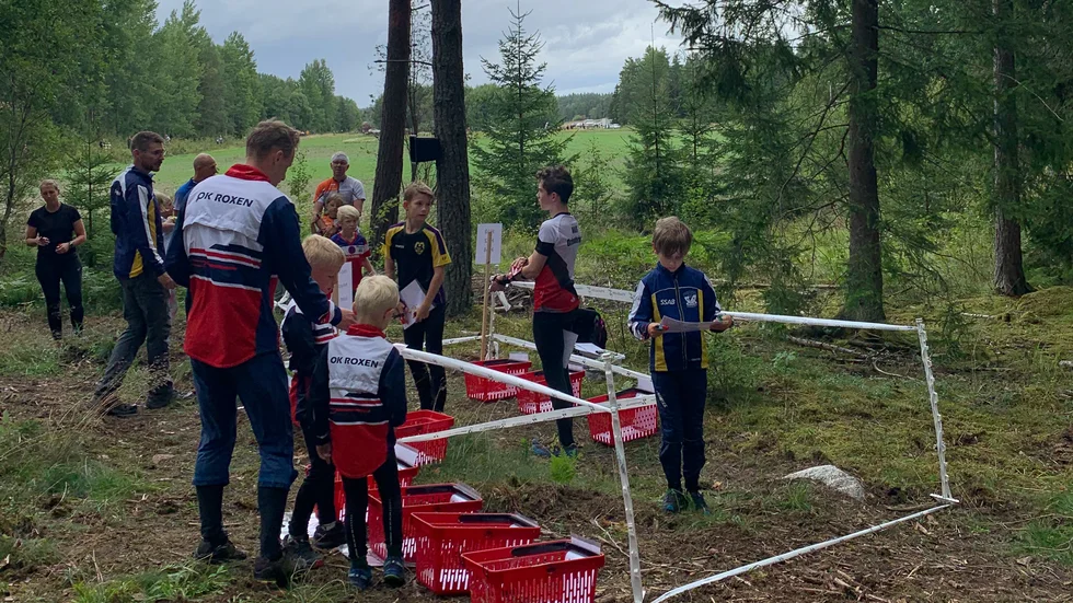 Måsenracet lockade många startande i de unga klasserna.