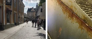 Restaurang får böta för dålig städning