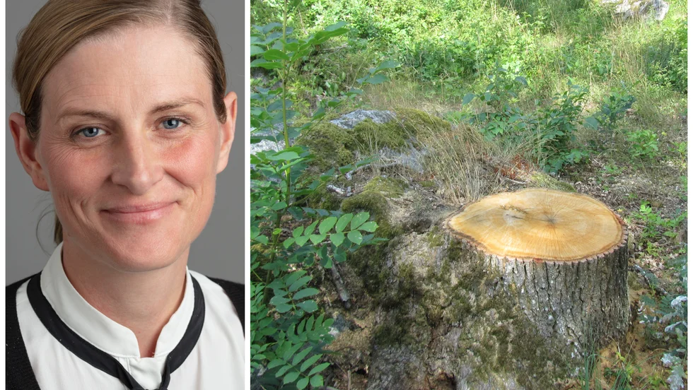 Emma Lundbergh, samhällsbyggnadschef i Knivsta kommun, säger att kommunen gjorde ett misstag och ska åtgärda sina kartor. 