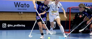 Ingen anledning till oro – än 