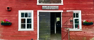 Ny konstlada slår upp sina dörrar i Lillfole