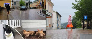 TV: Ögonblicket då regnet drog in över Vimmerby • Meteorologen: "Kan bli uppåt 30 grader varmt i helgen"