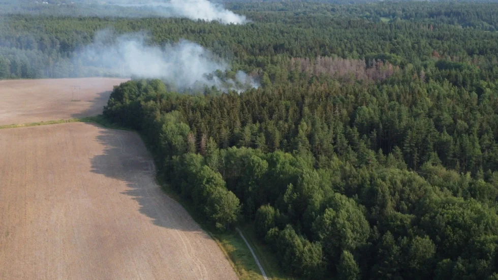 Bilden är en arkivbild tagen från en av helgens bränder i Vrinneviskogen.