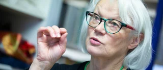 Britta Marakatt-Labba gör konst för djur och insekter