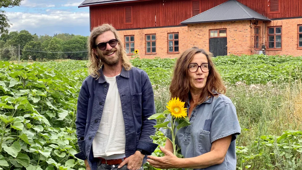 Pontus Winnberg och Maria Printz skapar evenemanget Musikomaten Stora Lundby gård i Stallarholmen. Där erbjuds matupplelvelser och så kommer bandet Amason att spela live.