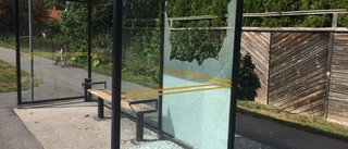 Busskursglas rasade på pojke – åtgärdas först imorgon
