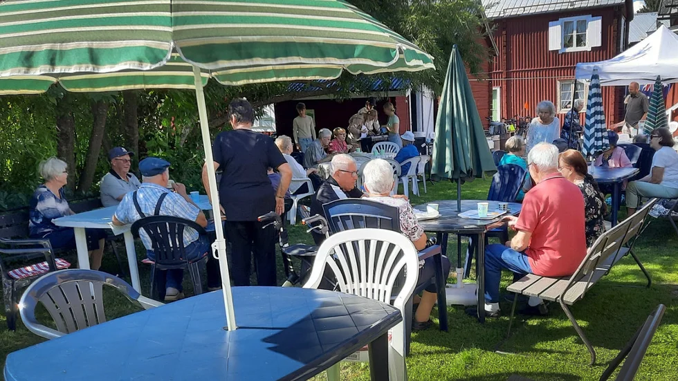 Solanderföreningens tillställning med halstrad strömming är populär och många besökare återkommer från år till är.