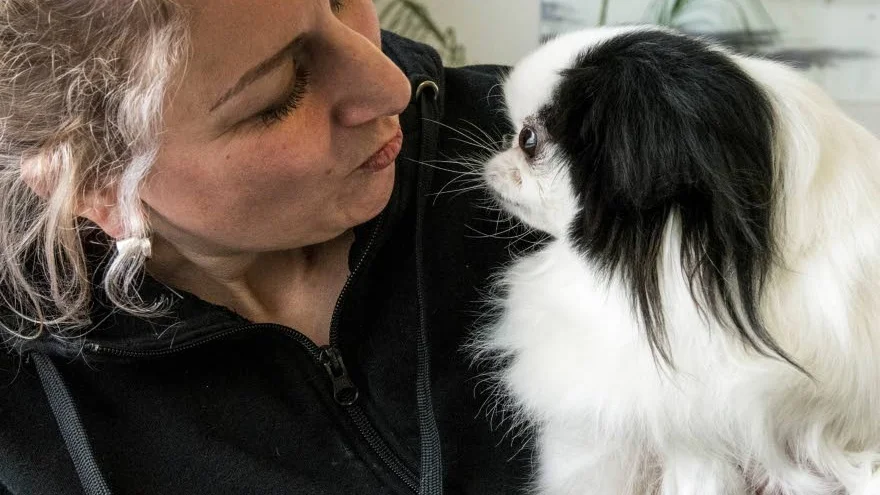 Mys. Smurfan kom till paula Rosendahl för ett år sedan, som omplaceringshund.