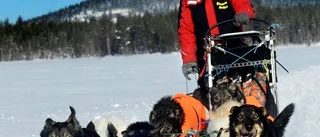 Tyskt par fann paradis – i Miekojärvi