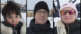 Enkät: Vad tycker du om en folkomröstning?