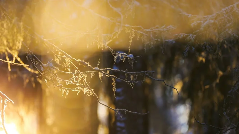 Hur många hål blir det? Frågar Tor Tuorda i filmen Gállok som snart har premiär i Luleå.