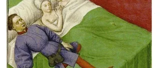 Muralgranskaren blir bok