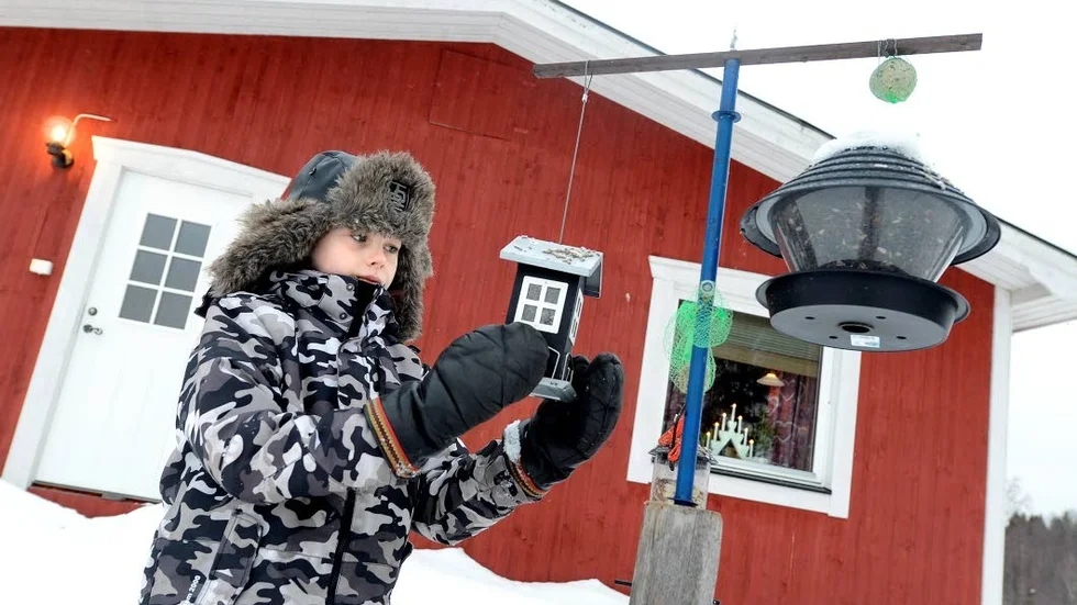 DJUREN TRIVS. ”För ett par dagar sedan kom rådjur och åt av fågelmaten”, säger 12-årige Axel Nilsson. Vid älvkanten sitter ibland laxsugna havsörnar.