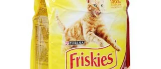 Är torrfodret nyttigt eller en katt-astrof?