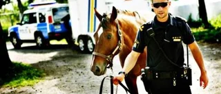Hästar patrullerar i Visby