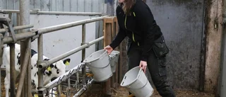 Personligt med Ronja Björkqvist