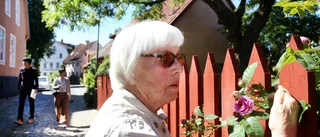 BILDERNA: Massvis med rosor i Visby innerstad