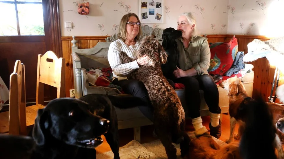 Gunnlög Köhn lämnade hunden Nova till Birgitta Rasmusson på hunddagis. Birgitta tvekade aldrig när Gunnlög snabbt behövde hitta en ny njure.