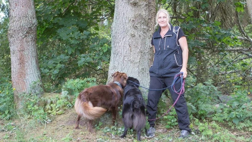 Nocka och Tara hittar direkt de angripna träden tillsammans med matte Camilla Lundgren.