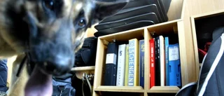 Inga knarkhundar på öns skolor