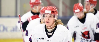 Upp och ned för Kalix Hockey