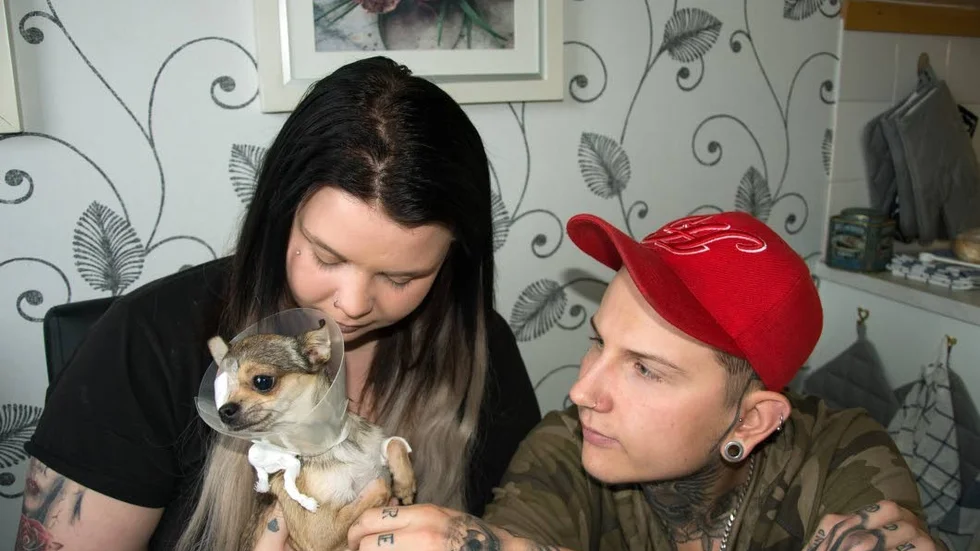 Omtöcknad. Tvååriga hunden Ronja blev troligtvis sparkad eller slagen av en okänd människa utanför Ica i helgen. Hennes matte Jennifer Wikström och husse Erik Backeblad är chockade, ledsna och förbannade.