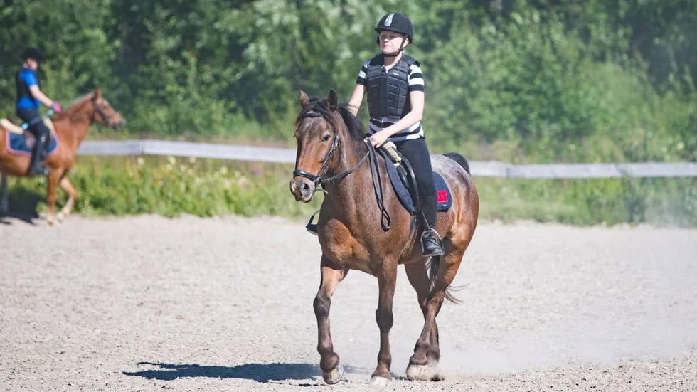 Snällaste. Vid eftermiddagens ridpass rider Clara Engelmark Avicii, hästen som enlig Alma Curan är den snällaste och som aldrig bits eller ger tillbaka när någon annan häst blir sur.