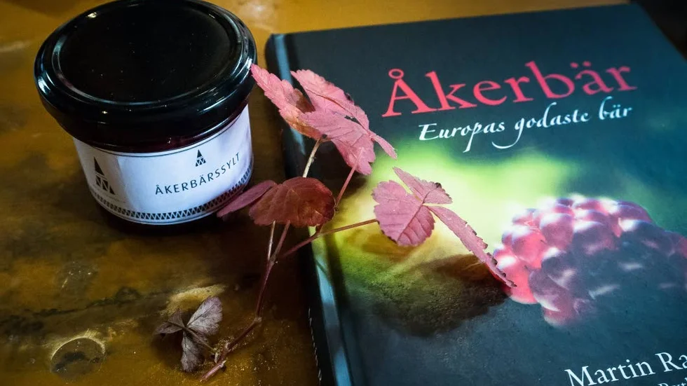 Boken. Åkerbär, Europas godaste bär (Black island books). Författare till boken är Martin Ragnar och medförfattare Paulina Rytkönen och Jan Hedh.
