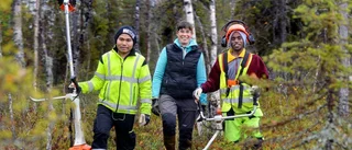 Nyanländ i skogen – var vänlig röj