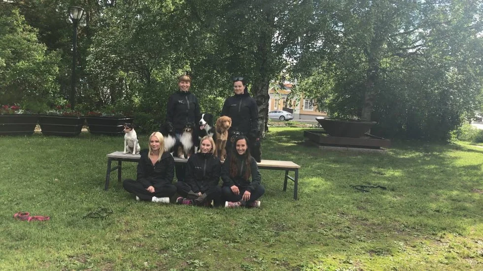 Therese persson med hunden Lykke,
Regina Kohkoinen Morin med hunden Virus,
Pernilla Stenqvist med Daisy & Tweet,
Cecilia Nilsson med Oliver & Zapp,
Jennie Westerberg med Moa & Leila