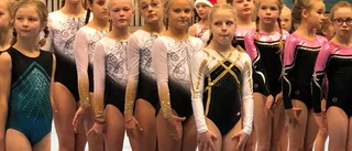 Lyckad helg för Visbygymnasterna