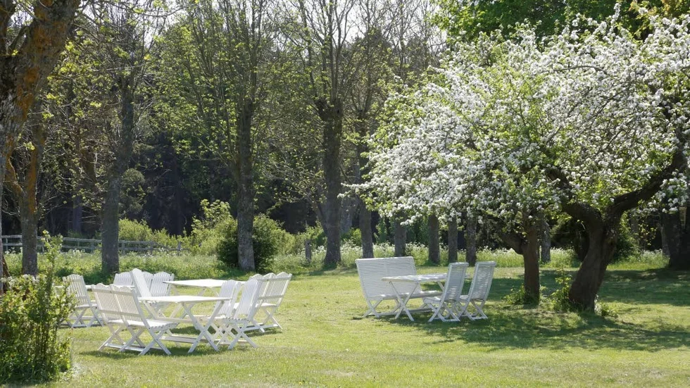 Sommardröm på gårdsplanen i Stenkumla.