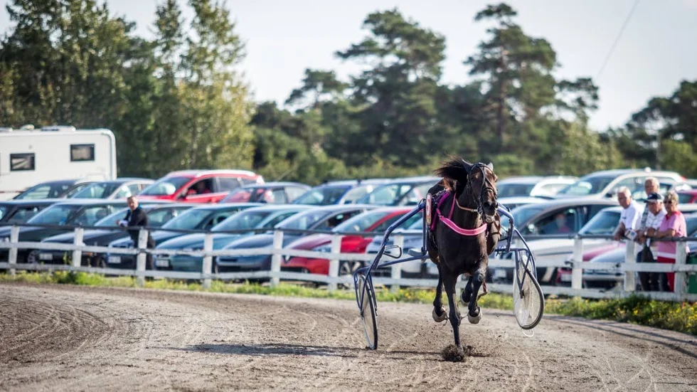 Under lunchtravet på torsdagen skedde en olycka som resulterade i att en häst skenade 4 varv runt banan med en trasig sulky efter sig.