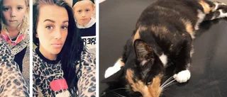 Katten Selma misshandlades – fick avlivas