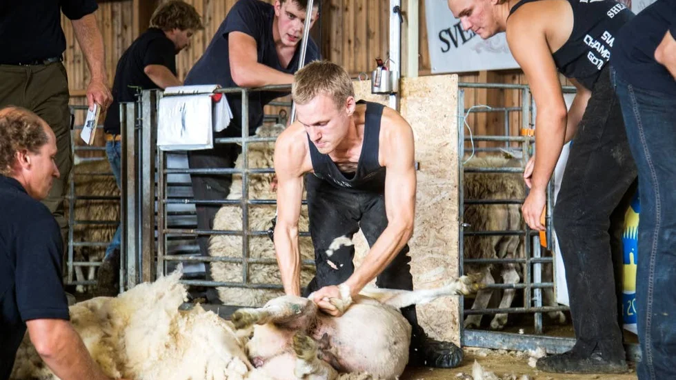Gotlänningen Simon Ronström var en av de fyra finalisterna.