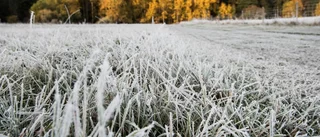 SMHI: Meteorologisk vinter i nästan hela landet