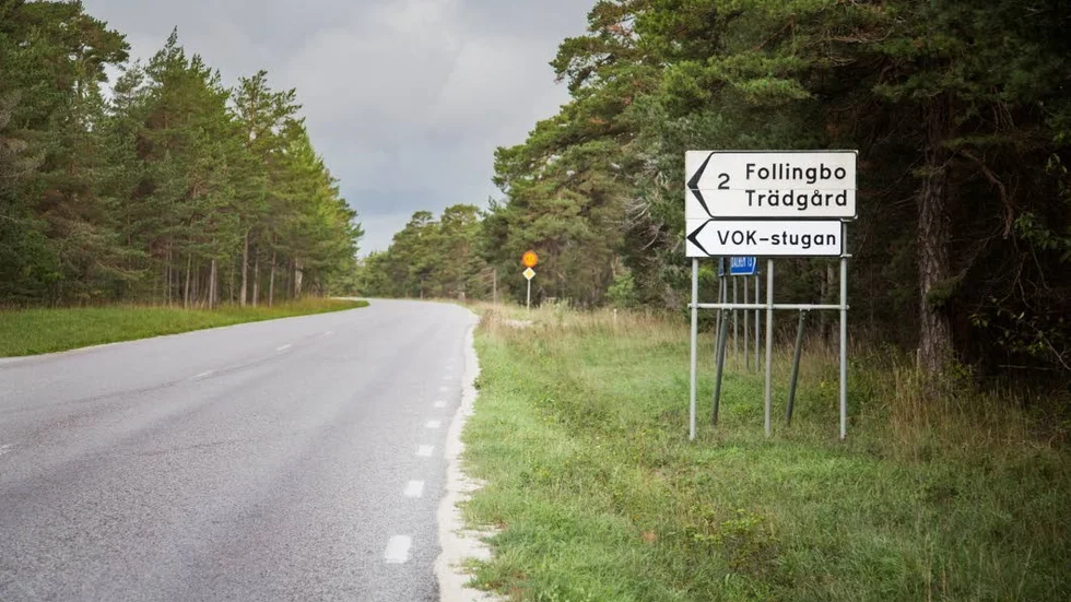 Det var här, på Dalhemsvägen i närheten av Visby, som de två gärningsmännen körde av vägen.
