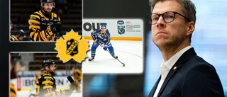 AIK långt framme i lagbygget – Forssell om ryktet kring Kühnhackl: ”Vi utgår från att han spelar med oss” • Melker om framtiden 