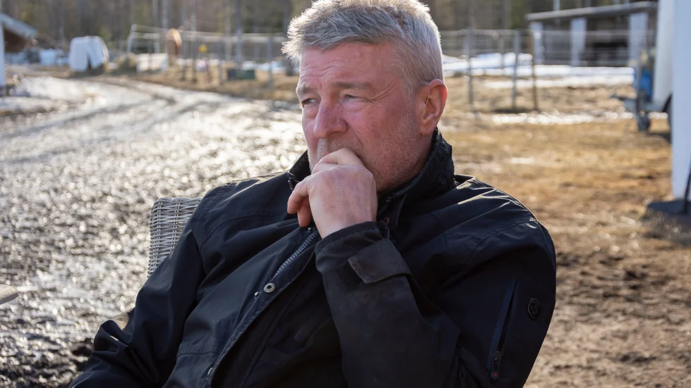 "Under covid har folk varit om galna efter hästar, det finns inga hästar på Island att köpa just nu", säger han på frågan om intresset för islandshästar ökar eller minskar.