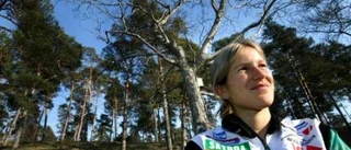 Världsstjärnor laddar på ön