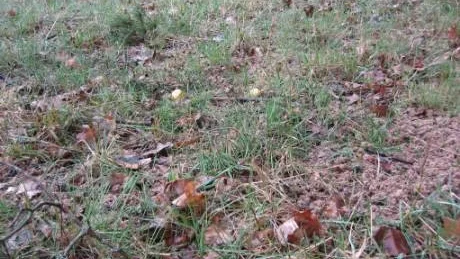 En foderplats i syfte att locka in viltet från grannmarken är inte tillåtet.