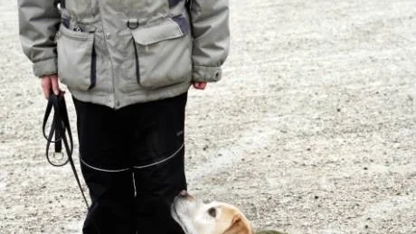 Det här är lite mer lättsamt än vanlig lydnadsdressyr, tyckte pernilla Rudin med hunden Lukas.