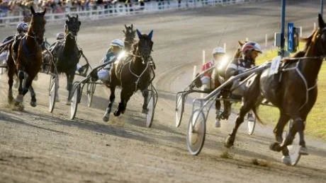 Premiär. Den 17 maj är det årspremiär på VIsbytravet.