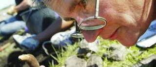 Amatörer gräver fram medeltiden på Fårö
