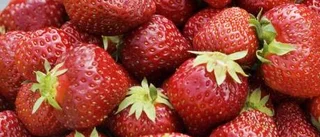 Annorlunda gubbar  ger lätt mycket mersmak