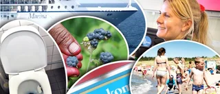 Här är de vanligaste frågorna på turistbyrån