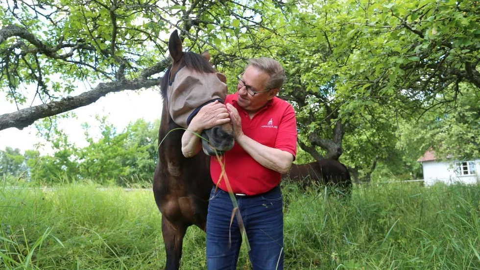 Hästliv. Stig Kemi tillsammans med ponnyn ”Smugglarn” som barnbarnen rider på. Nackdelen med att ha häster på Gotland, menar han, är att det finns så mycket flugor. Fördelen är att det inte finns lika mycket mygg här som i Norrland.