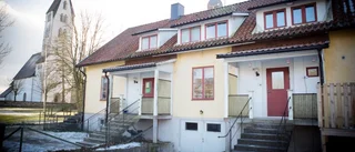 Trio satsar på bondedagis i Gothem