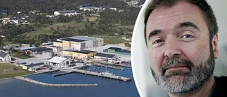 Kuylenstierna om säljplanerna