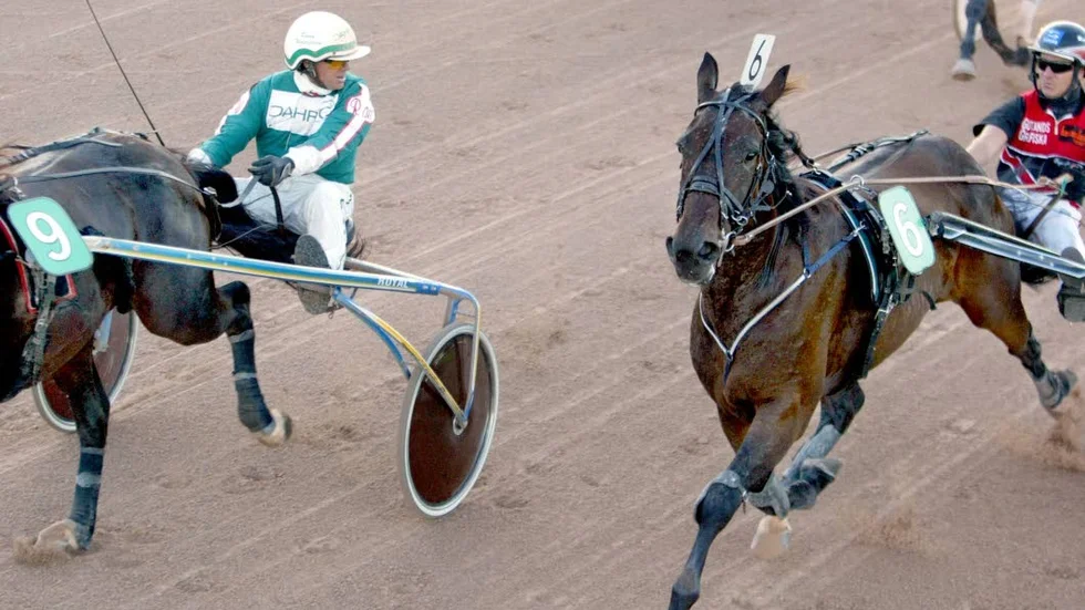 Förutsättningarna för arbetsmiljön varierar mellan de olika hästsporterna. Travhästar är, enligt Arbetsmiljöverket, ofta mer lätthanterliga för hovslagare än vad privathästar är.